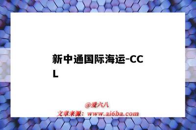 新中通国际海运-CCL(新中通国际海运)